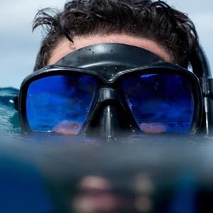 Meet your Posher, Dalbert